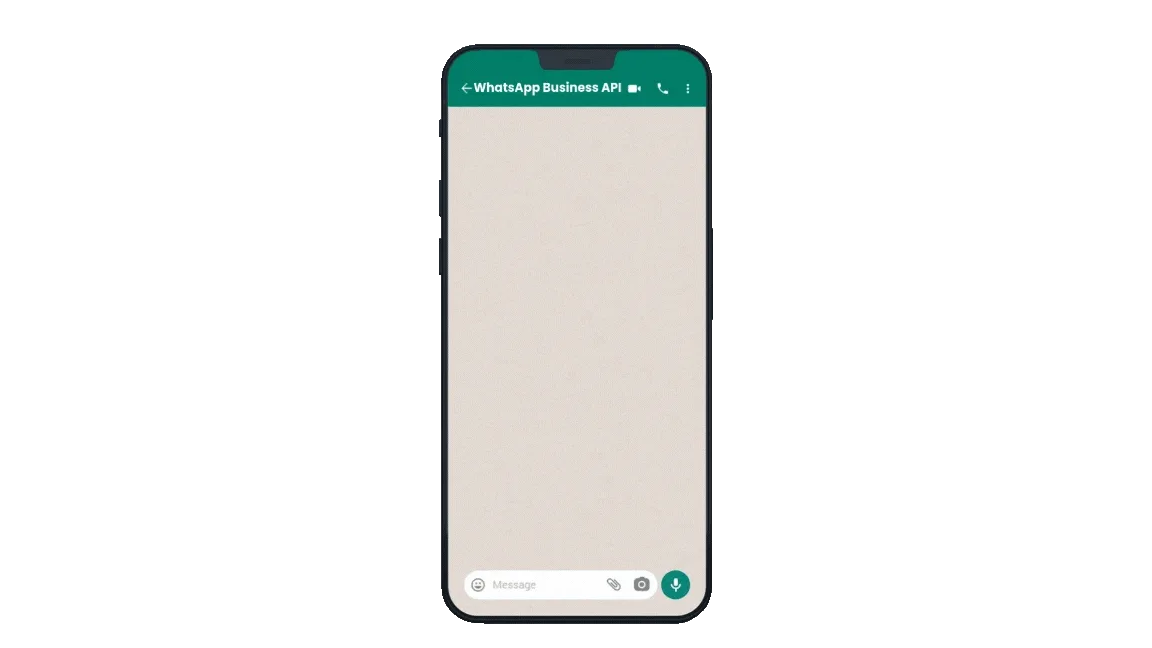 connect whatsapp business